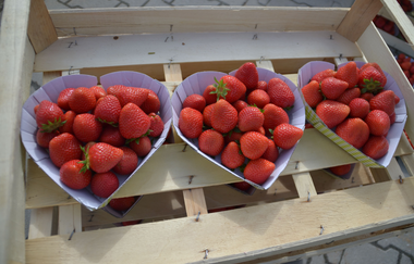 Beerenhof Grötzinger | Erdbeerschälchen | © Neckar-Zaber-Tourismus e.V.