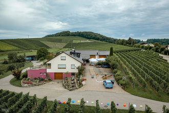 Blick von oben auf Besenwirtschaft Weingut Sommer | Brackenheim-Haberschacht | © Neckar-Zaber-Tourismus e.V.
