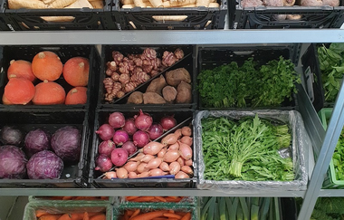 Biohof und Hofladen Braun | © Biohof Braun