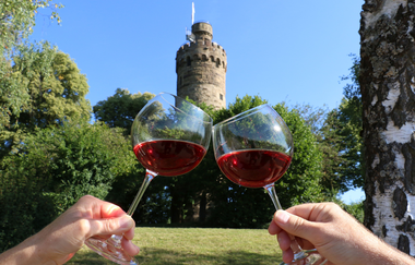 Weingläser | Birgit Herzog | Weinerlebnisführerin | HeilbronnerLand | © Birgit Herzog