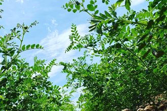 Bubenlohe | © Liebliches Taubertal