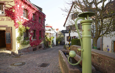 Idylle auf Dilsberg | © Touristikgemeinschaft Odenwald e.V.