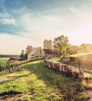 Blick auf Burg Neipperg im Zabergäu | HeilbronnerLand | © Touristikgemeinschaft HeilbronnerLand