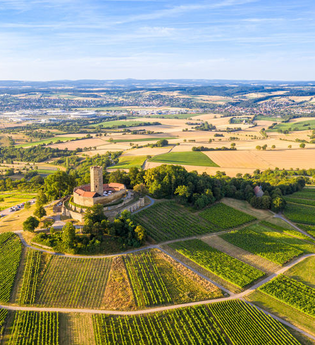 Burg Steinsberg | © Stadtverwaltung Sinsheim