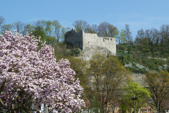 Burgruine Löffelstelz | © Stadt Mühlacker