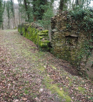 Burgruine Waldeck bei Heiligkreuzsteinach