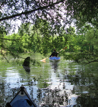 der flusswanderer in Ladenburg | © "derflusswanderer" Ladenburg