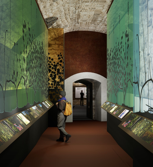 Modellbild der geplanten Ausstellung in der Deutschen Weinwelt | Brackenheim | © Deutsche Weinwelt