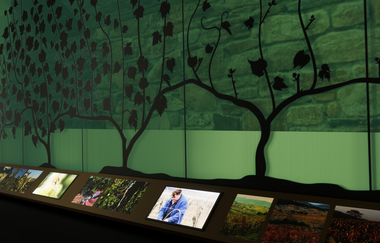 Modellbild der geplanten Ausstellung in der Deutschen Weinwelt | Brackenheim | © Deutsche Weinwelt