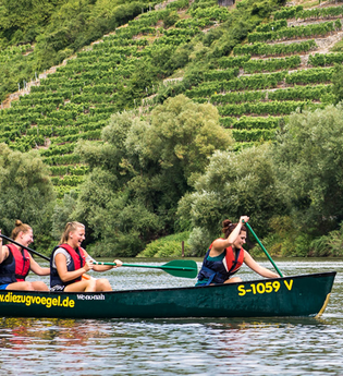 Die Zugvögel | SUP- und Kanustation Lauffen am Neckar
