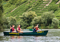 Die Zugvögel | auf dem Neckar