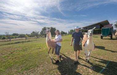 Erlebniszentrum Mühle Kolb Zuzenhausen | © Stadt Sinsheim
