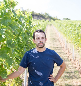 exNicrum Weinmanufaktur in Hessigheim | © 3B-Tourismus-Team