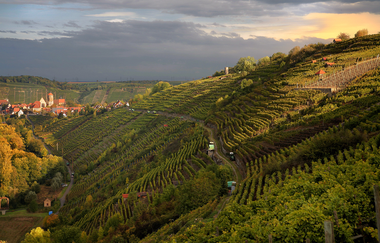 Felsengartenkellerei Besigheim eG | © Felsengartenkellerei