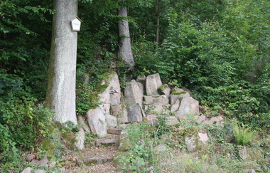 Felsenquelle bei Eberbach (220 m)
