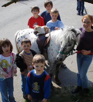 Ferienhof Waldmann | © Unbekannt