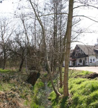 Flächennaturdenkmal Am Brunnenbach | © BTMV Bruchsal