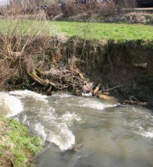 Flächennaturdenkmal Runde Gumpe | © BTMV Bruchsal