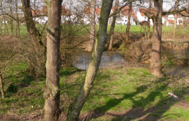 Flächennaturdenkmal Runde Gumpe | © BTMV Bruchsal