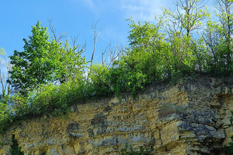 Flächennaturdenkmal Steinbruch am Stadtrand | © BTMV Bruchsal