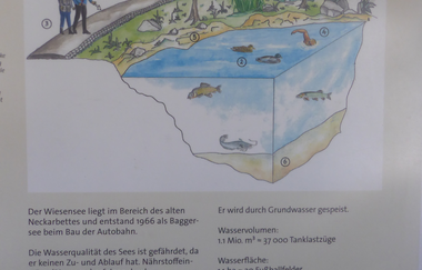 Freibad Hemsbacher Wiesensee | © Beate Otto