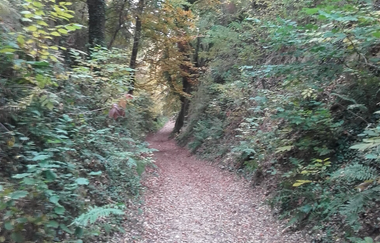 Galgenhohle bei Kraichtal-Oberöwisheim | © Stadtverwaltung Kraichtal