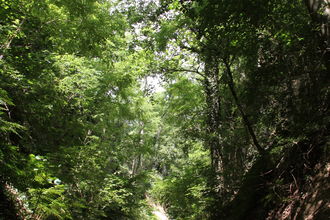 Galgenhohle bei Kraichtal-Oberöwisheim