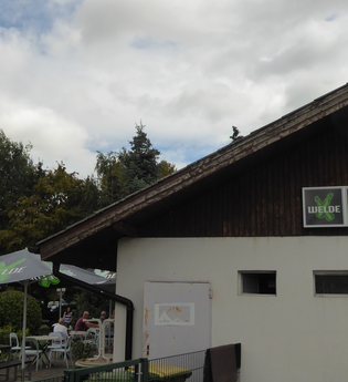 Gartengolf Schwetzingen | © Landratsamt Rhein-Neckar-Kreis