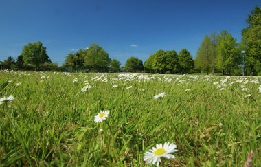 Gartenschaupark Hockenheim | © Landratsamt Rhein-Neckar-Kreis