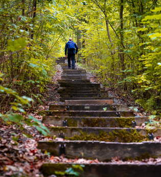 Himmelsleiter am Wander3Klang Eppingen | HeilbronnerLand | © Touristikgemeinschaft HeilbronnerLand