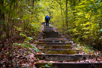 Himmelsleiter am Wander3Klang Eppingen | HeilbronnerLand | © Touristikgemeinschaft HeilbronnerLand