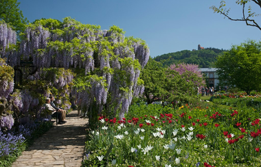 Historische Altstadt Weinheim
