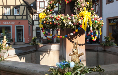 Historischer Stadtkern Neckargemünd | © Dorothea Burkhardt