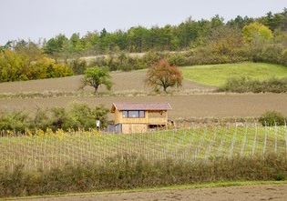 IgersWein e.V. | © IgersWein