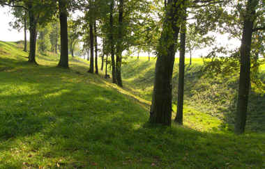 Keltische Fliehburg  Finsterlohr-Burgstall | © Touristinformation Creglingen / Bild Hein