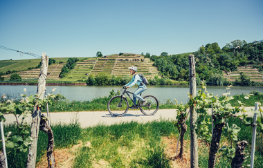 Neckartalradweg Blick auf Katzenbeisser Steillagen Radfahren 06 | HeilbronnerLand | © Touristikgemeinschaft HeibronnerLand e.V.