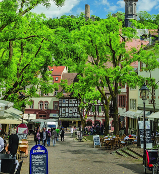 Marktplatz mit Personen und den grünen Bäumen. | © Kay Müller