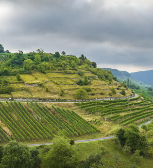 Naturpark Stromberg-Heuchelberg