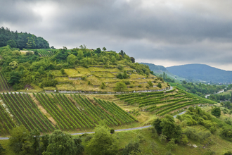 Naturpark Stromberg-Heuchelberg