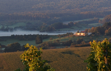 Naturpark Stromberg-Heuchelberg | © Naturpark Stromberg-Heuchelberg