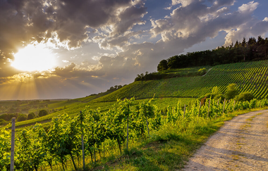 Naturpark Stromberg-Heuchelberg | © Niels Dick