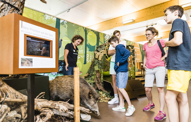 Naturparkzentrum Stromberg-Heuchelberg | © TMBW