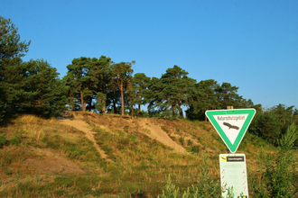Naturschutzgebiet Sandhausener Dünen | © Landratsamt Rhein-Neckar-Kreis