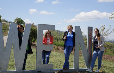 Team Neckar-Zaber-Tourismus am Michaelsberg | Fotospot | © Neckar-Zaber-Tourismus e.V.