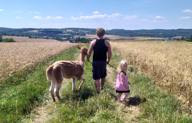 Nonies Hof - Alpakahof | © Nonies Hof