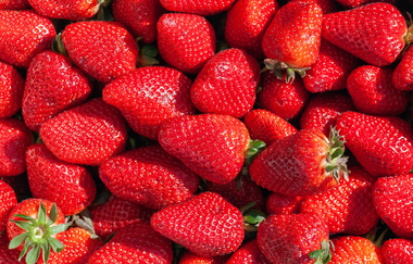 Obst- und Gemüse Absatzgenossenschaft Nordbaden (Spargelverkauf) | © BTMV Bruchsal