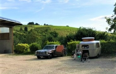 Ökologischer Land- & Weinbau Seitz | © Liebliches Taubertal