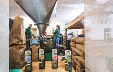 Ölmühle Illingen | © Jens Wegener