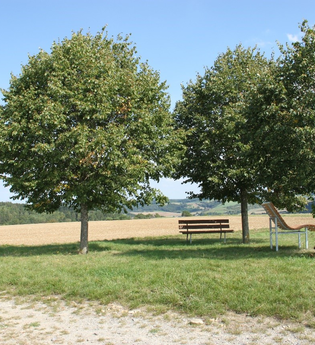 Ort des Glücks - VERWEILEN UNTER DEN LINDEN | © Liebliches Taubertal