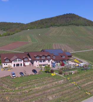 PANORAMAWEINGUT Reinhard Baumgärtner | © Land der 1000 Hügel - Kraichgau-Stromberg
